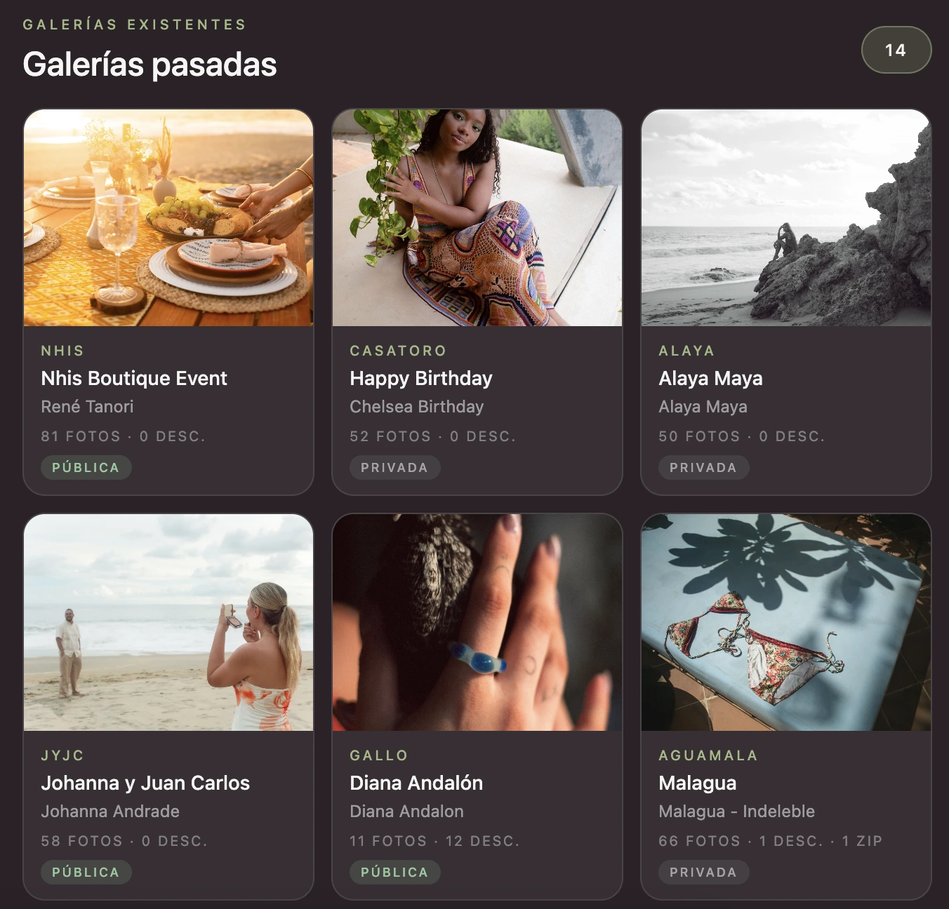 Ejemplo de galería visual para portafolio de artista, fotógrafo o marca